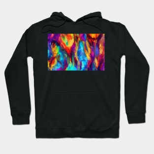 Colorful Hoodie